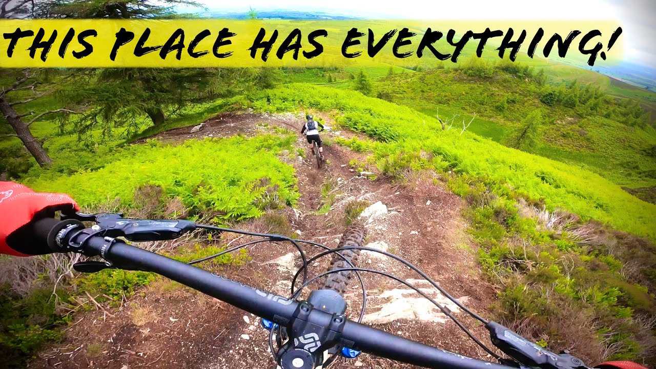 Dunkeld Enduro MTB | Birnam Hill | Rake & Ruin / Pink Floyd / Electric Beaver - 2021