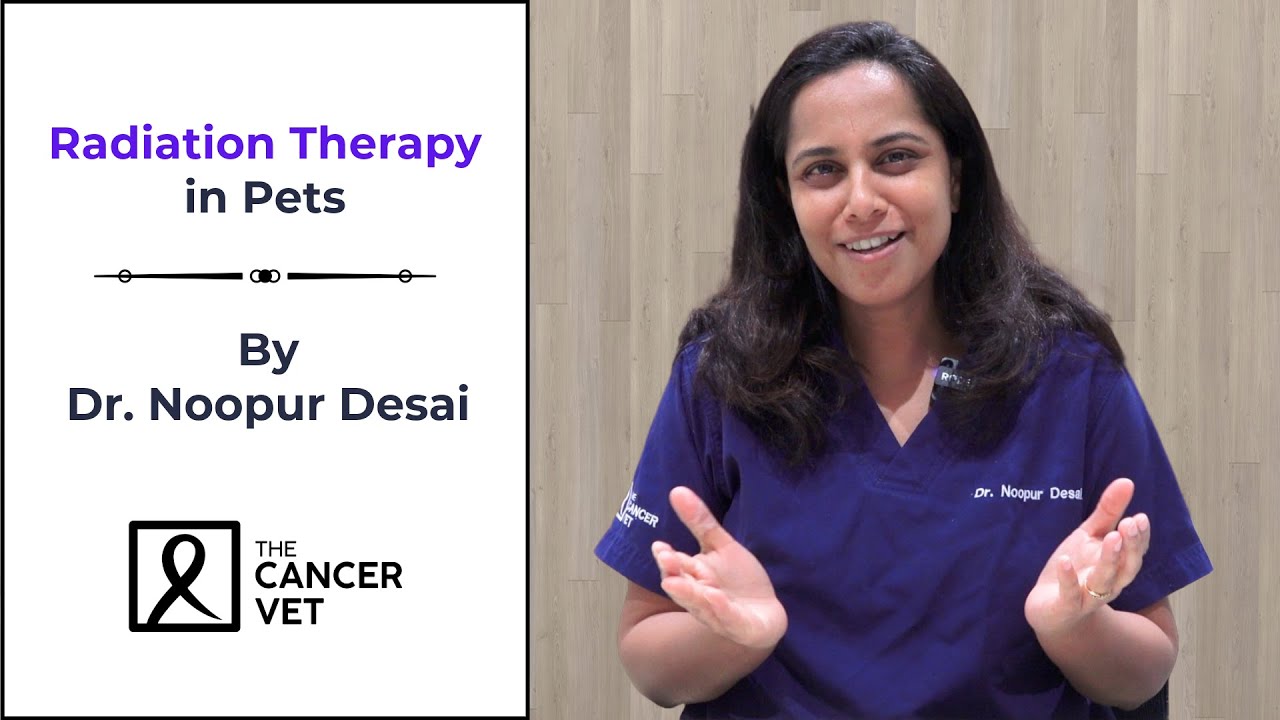 Radiation Therapy in Pets by Dr. Noopur Desai - Episode 30