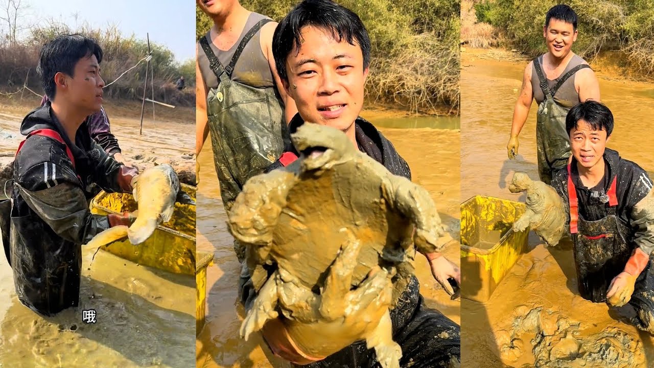 Một ao cá không hề cạn nước suốt 15 năm được cho thuê với giá 1.000 tệ.