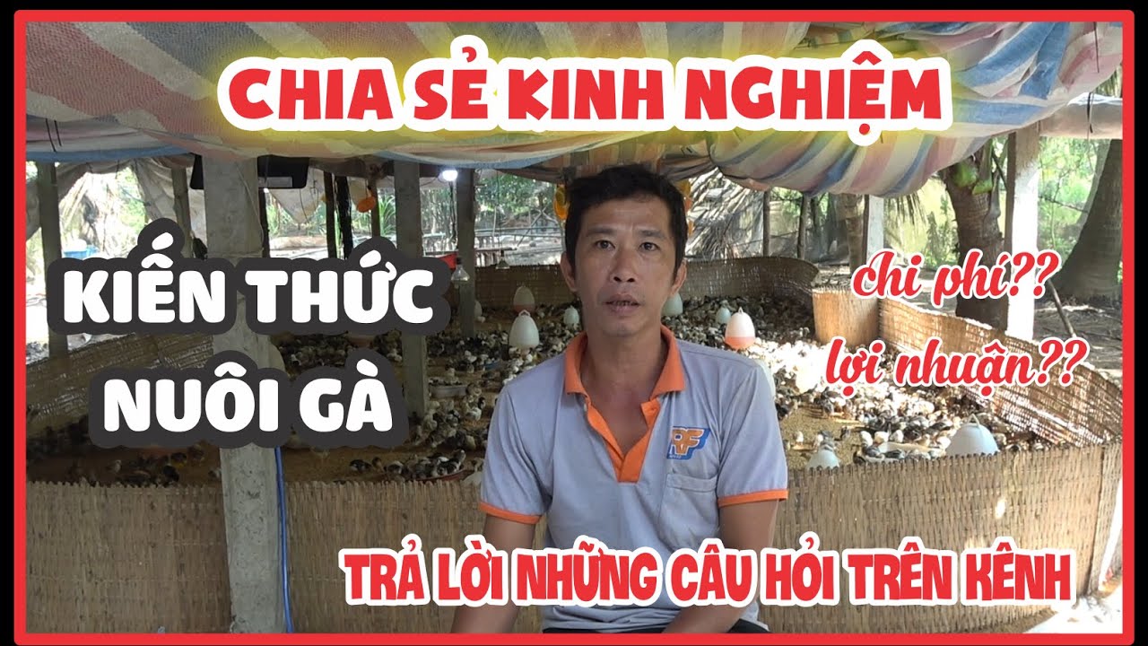 Chia sẻ kiến thức chăn nuôi gà thả vườn cực hay được đút kết từ kinh nghiệm hơn 4 năm chăn nuôi