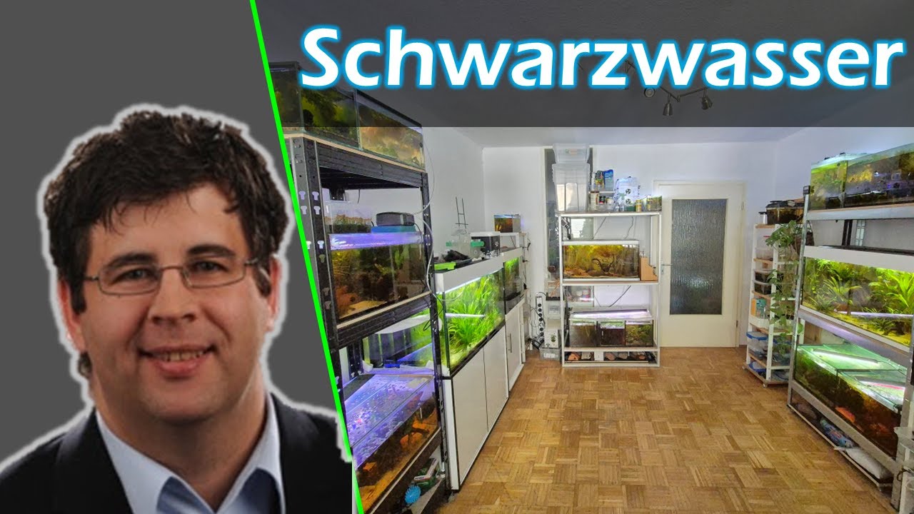 Schwarzwasserfische und wie Uwe Schirkonyer sie züchtet - IGL Vortrag