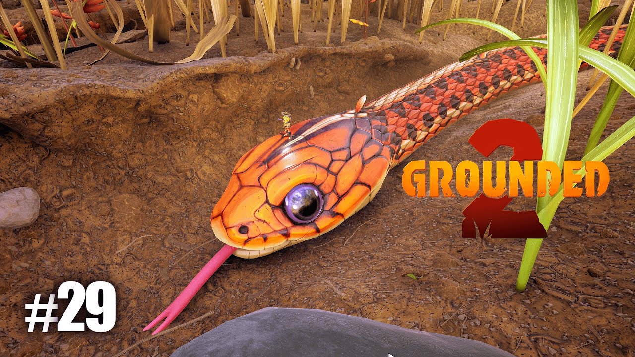 #29 Grounded 2　実況　ヘビがいた！
