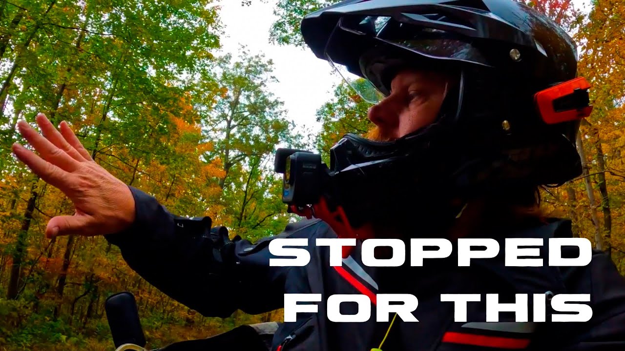 Riding the Mid-Atlantic BDR.  So amazing I had to stop. MABDR - Section 5