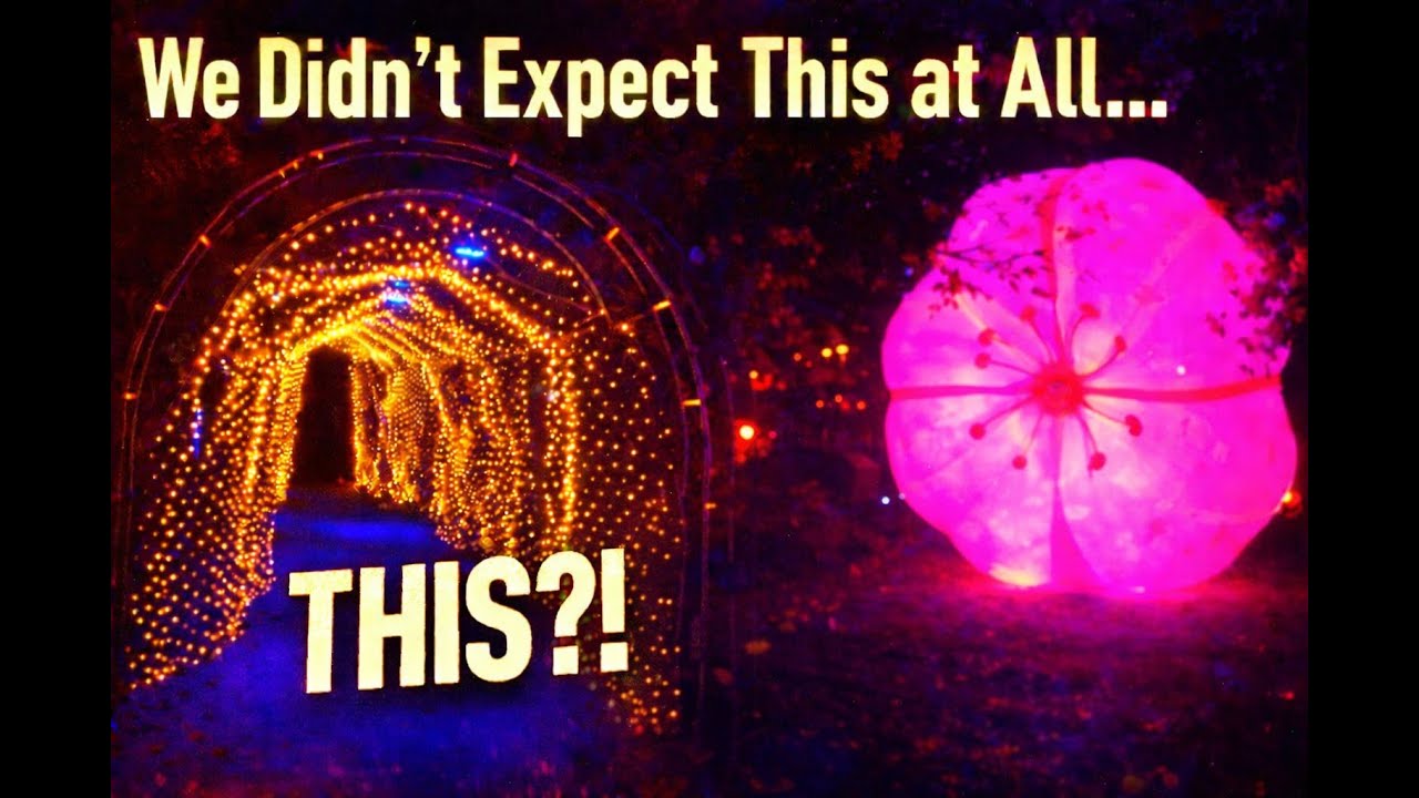 We Didn’t Expect This at the Japanese Garden in Hasselt…