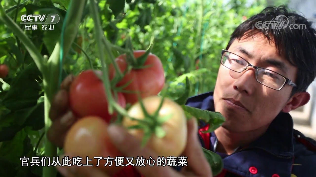 《军旅人生》 20180330 黄毅：闲不住的老兵 | CCTV军事