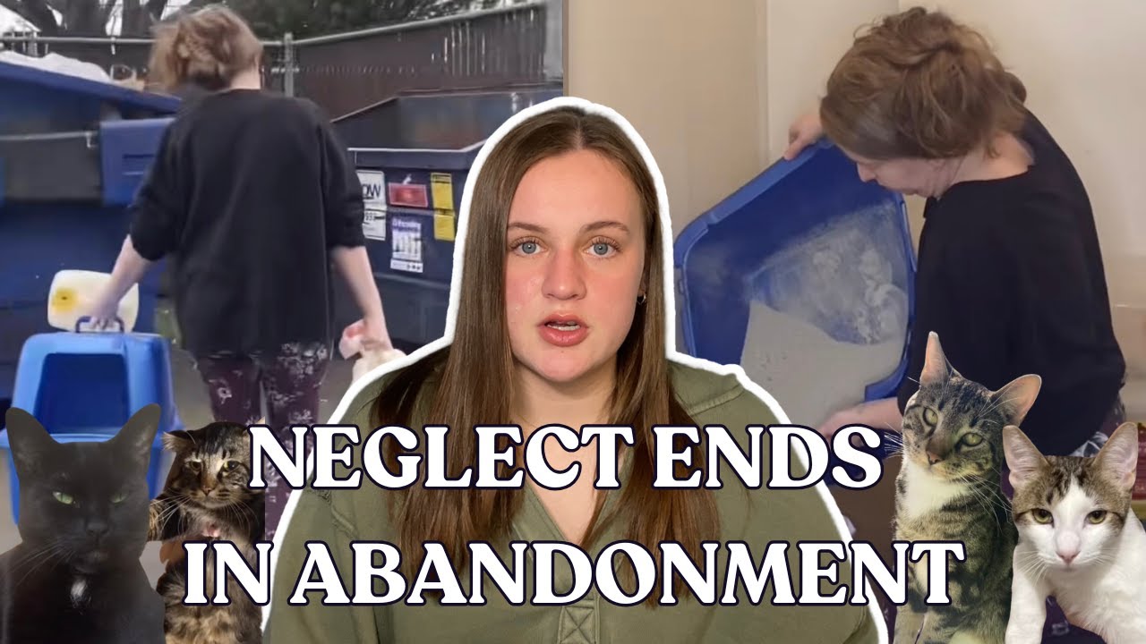 The Resilient Jenkins are Abandoning Their Neglected Cats!