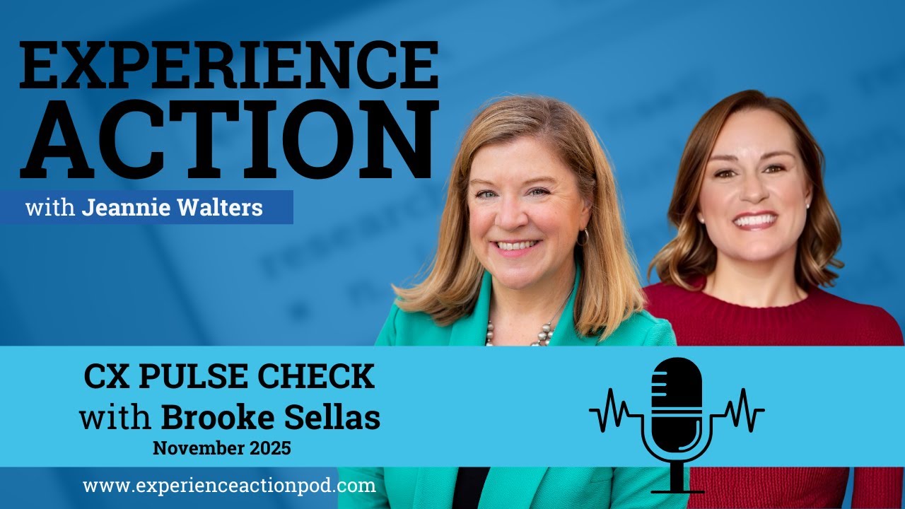 CX Pulse Check - November 2025