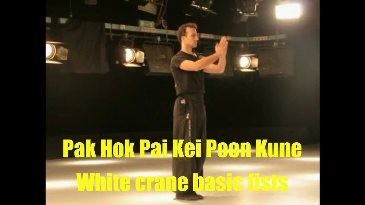 Pak Hok Pai Kei Poon Kune - White Crane System Basic Fists