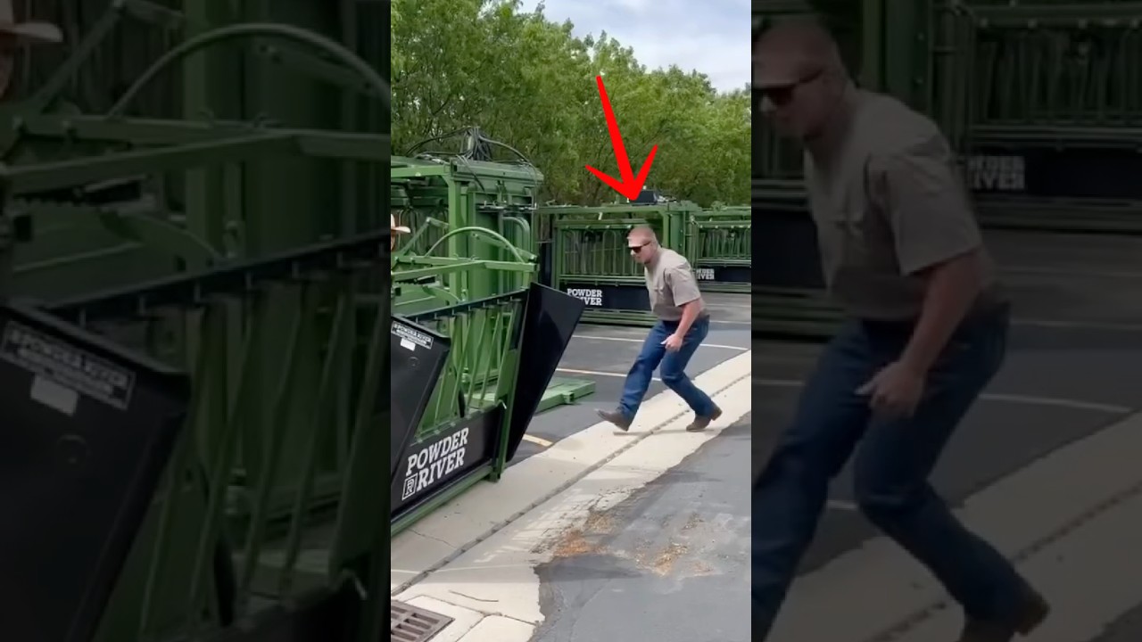 Как бык превращается в корову (@rancherryan)