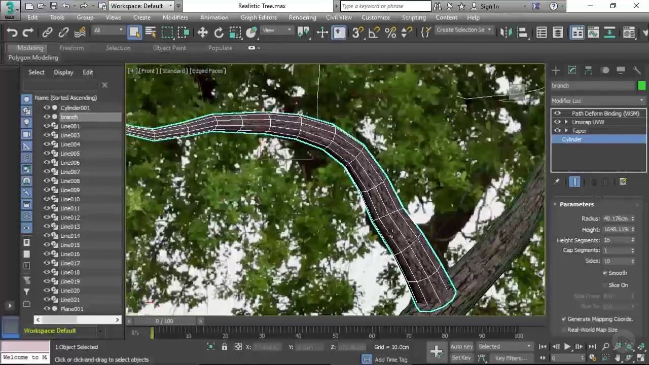 Modeling Branches for a Tree in 3ds Max