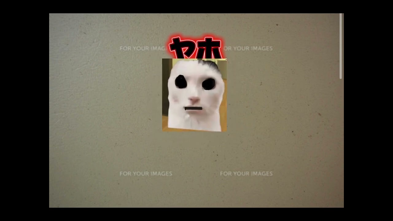猫ミーム　#こわい話 