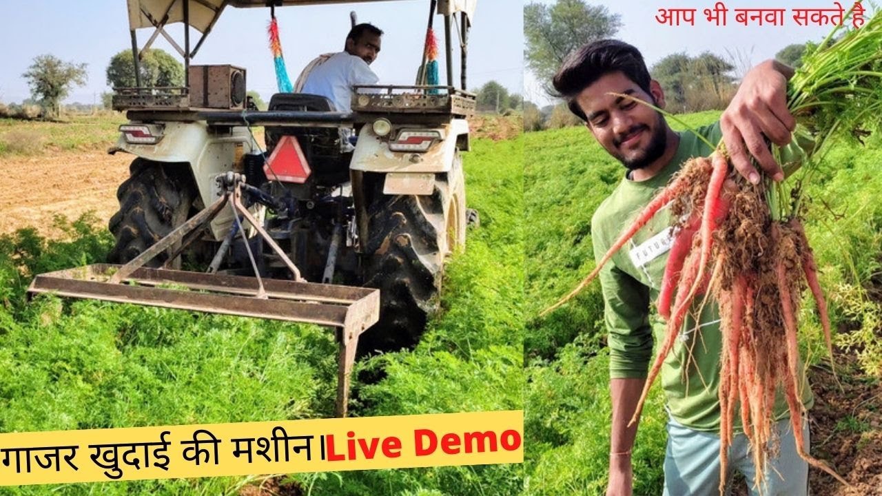 गाजर खुदाई की मशीन | 🥕गाजर उखाड़ने का जुगाड़ | 🥕Best carrot digging machine | Live Demo💥