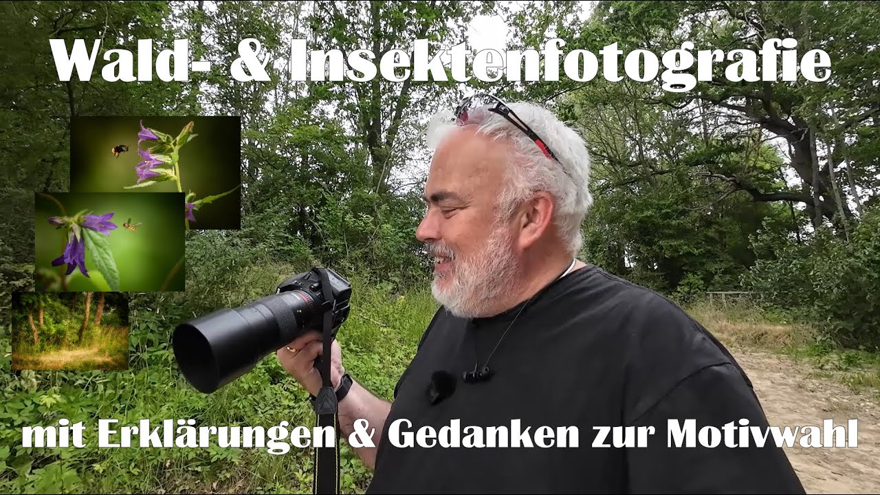 Wald- und Insektenfotografie - mit Erklärungen & Gedanken zur Motivwahl