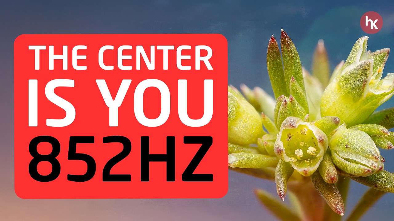 🌸 Scleranthus annuus | 852Hz Inner Balance Meditation | Scleranthus Flower Essence Healing