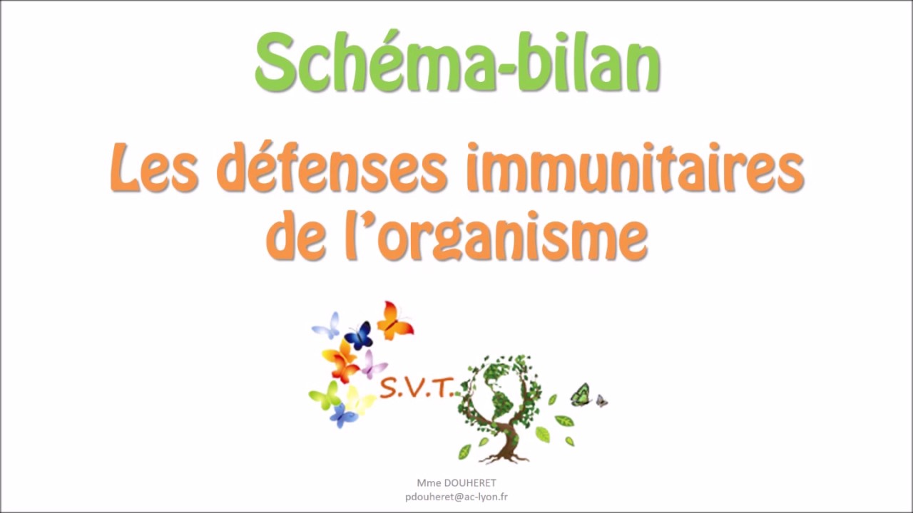 Les réactions de défense immunitaire de l'organisme