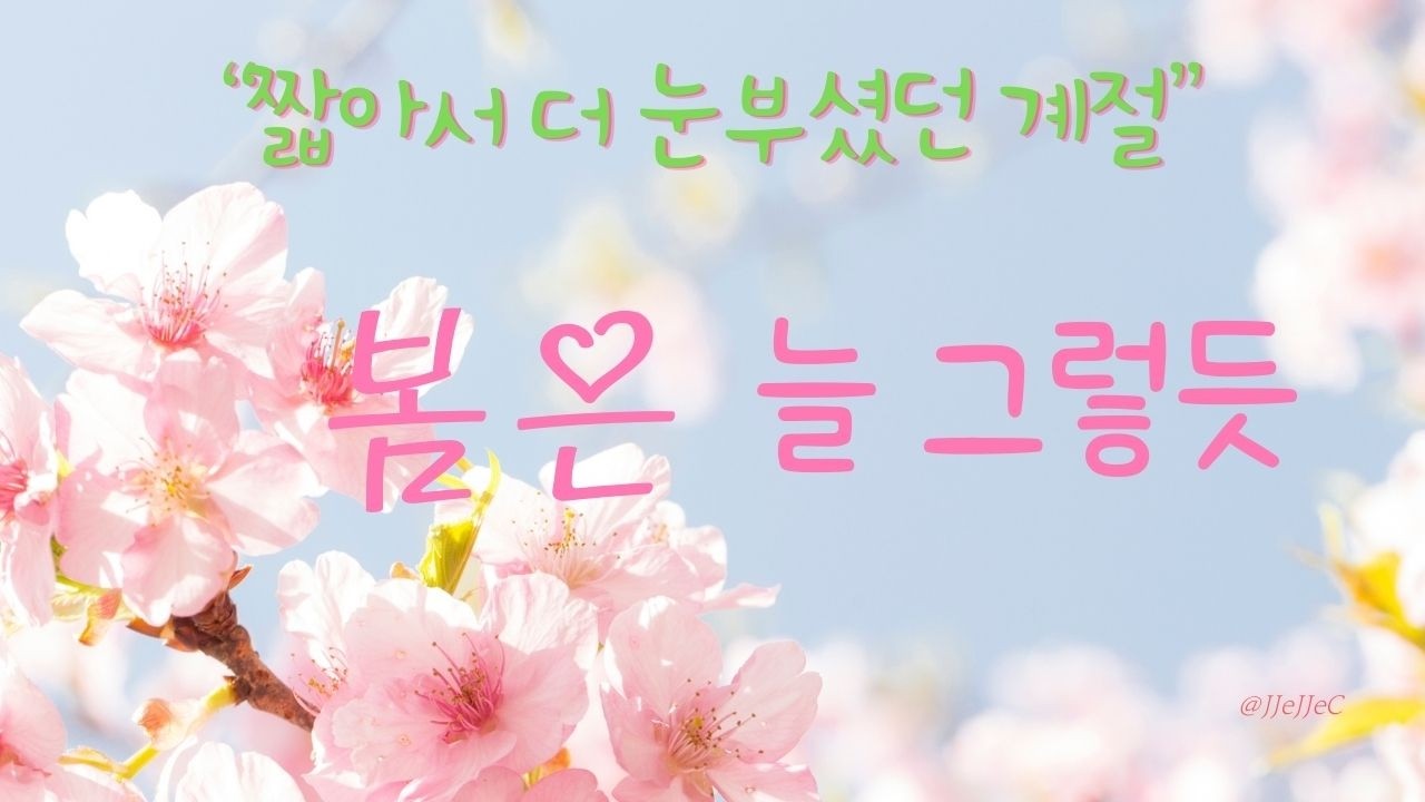 봄은 늘 그렇듯 (Spring Always Leaves Quietly) official audio #봄은늘그렇듯 #봄노래 #벚꽃감성