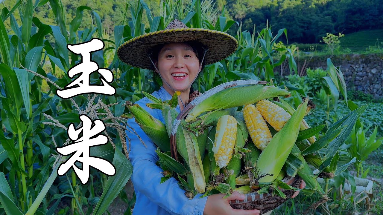 A bumper harvest of corn, this method is delicious and tasty, one bite is super addictive