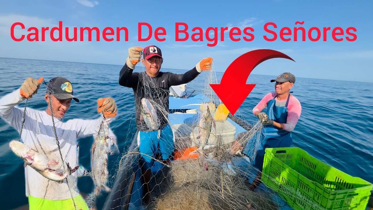 Nunca inmaginamos Aser Tantas Capturar  De una Sola Redada 😱