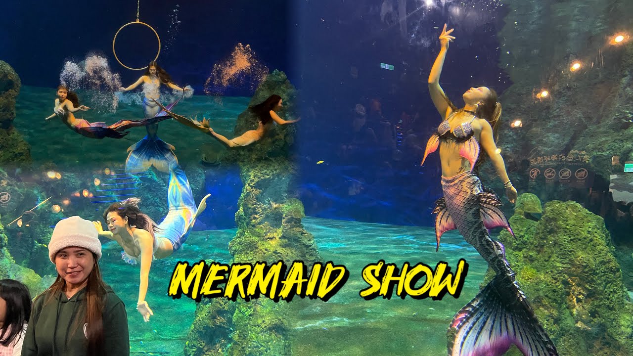 Amazing mermaid show at Farglory Ocean Park