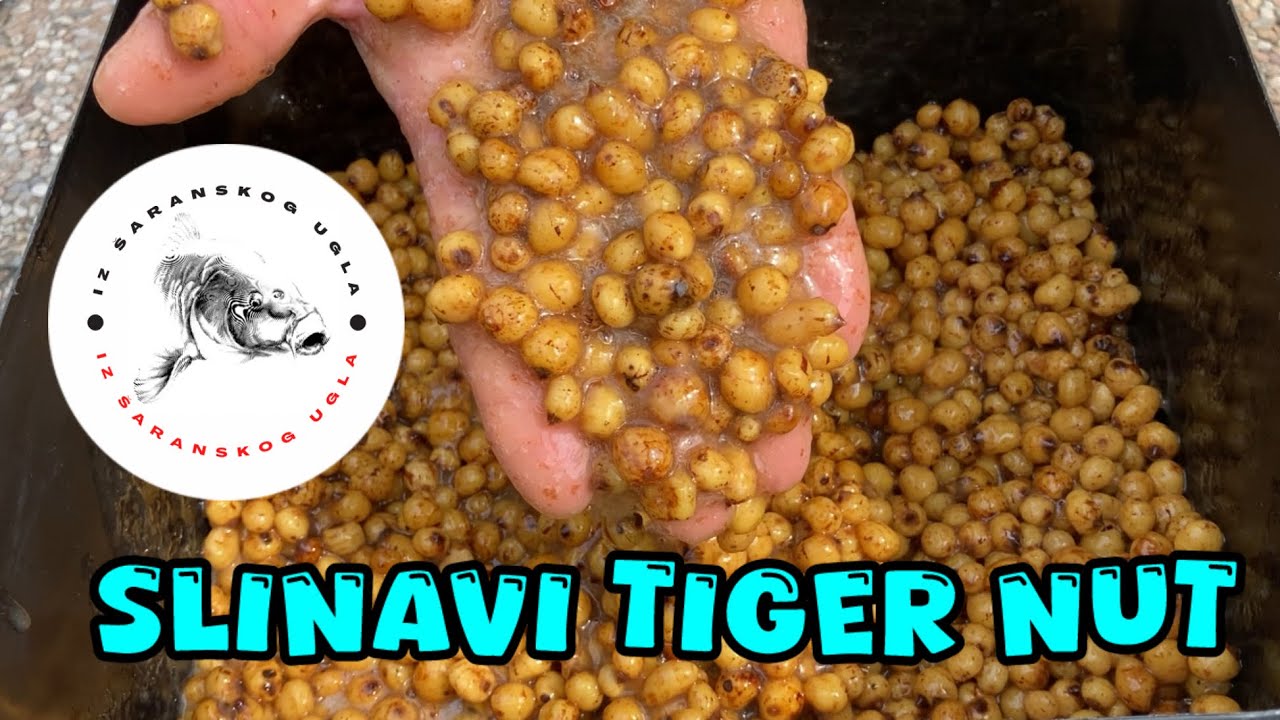 Priprema TIGROVOG ORAHA po receptu ŠAMPIONA Tiger Nut Slime