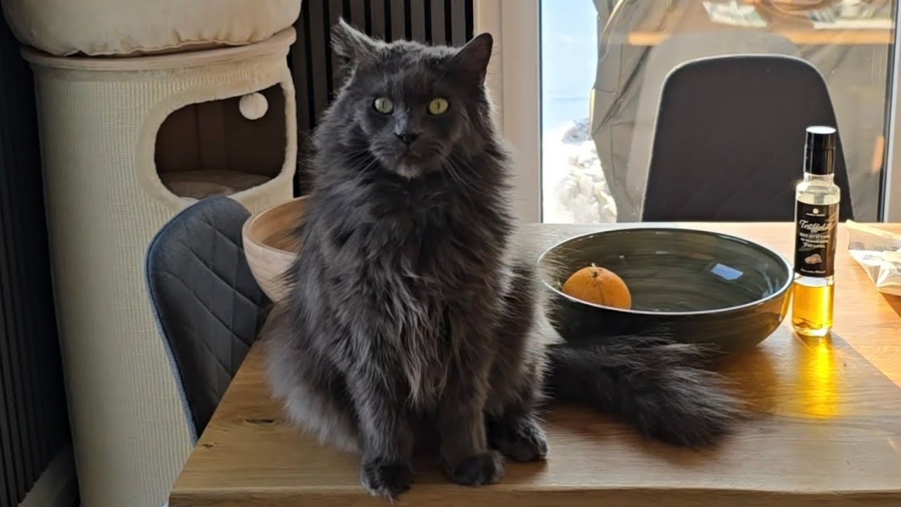 Heute ist unser Hochzeitstag?! 😱