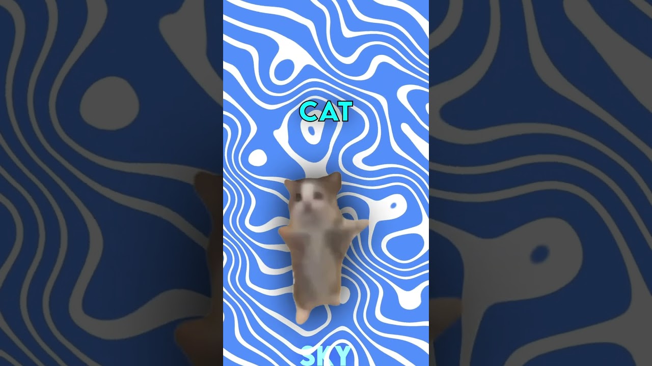 Origin Of Happy Happy Happy Cat Meme 🤔 #shorts #memes