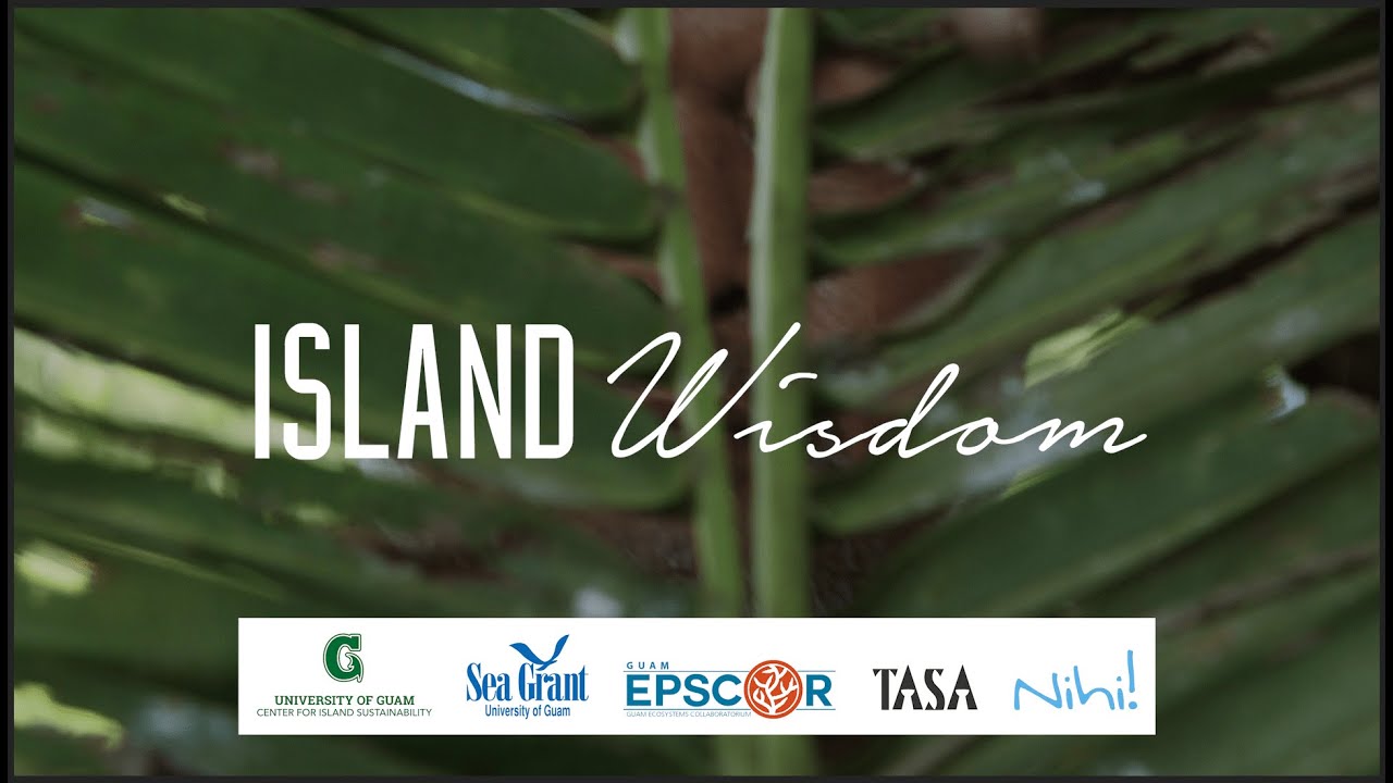Island Wisdom with Larry Raigetal | Nihi!