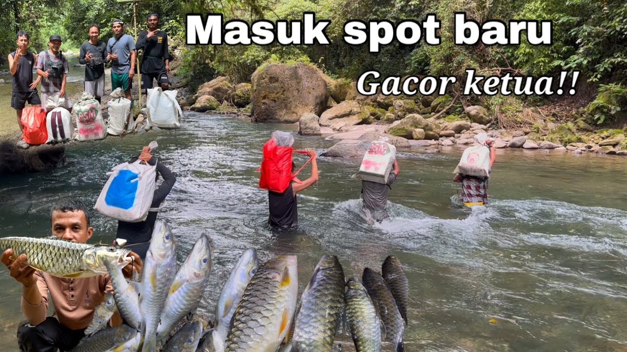 Baru Pertama Kali Masuk Sungai Ini Hasilnya Mantap Kawan!! Camp fishing Survival Adventure