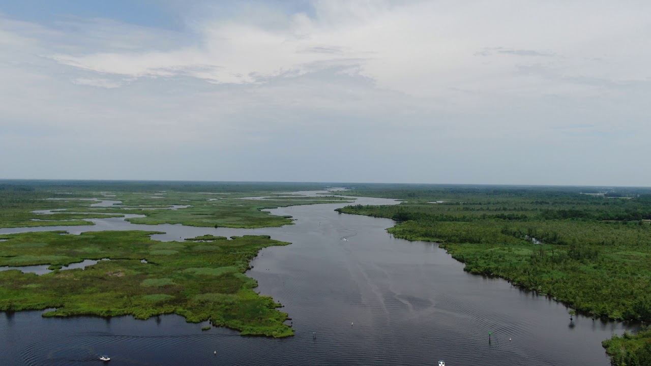 Pungo Ferry 1