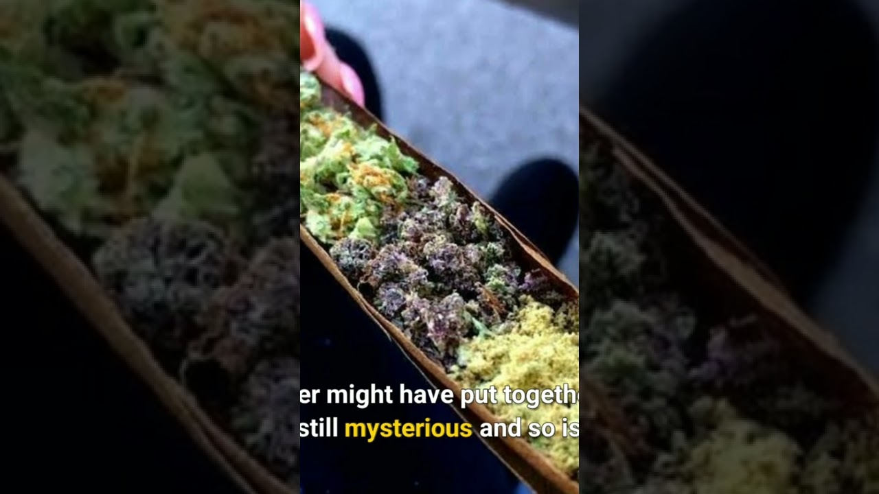 Cannabis Caviar (Most Expensive strand of Marijuana 👑🌳💰)