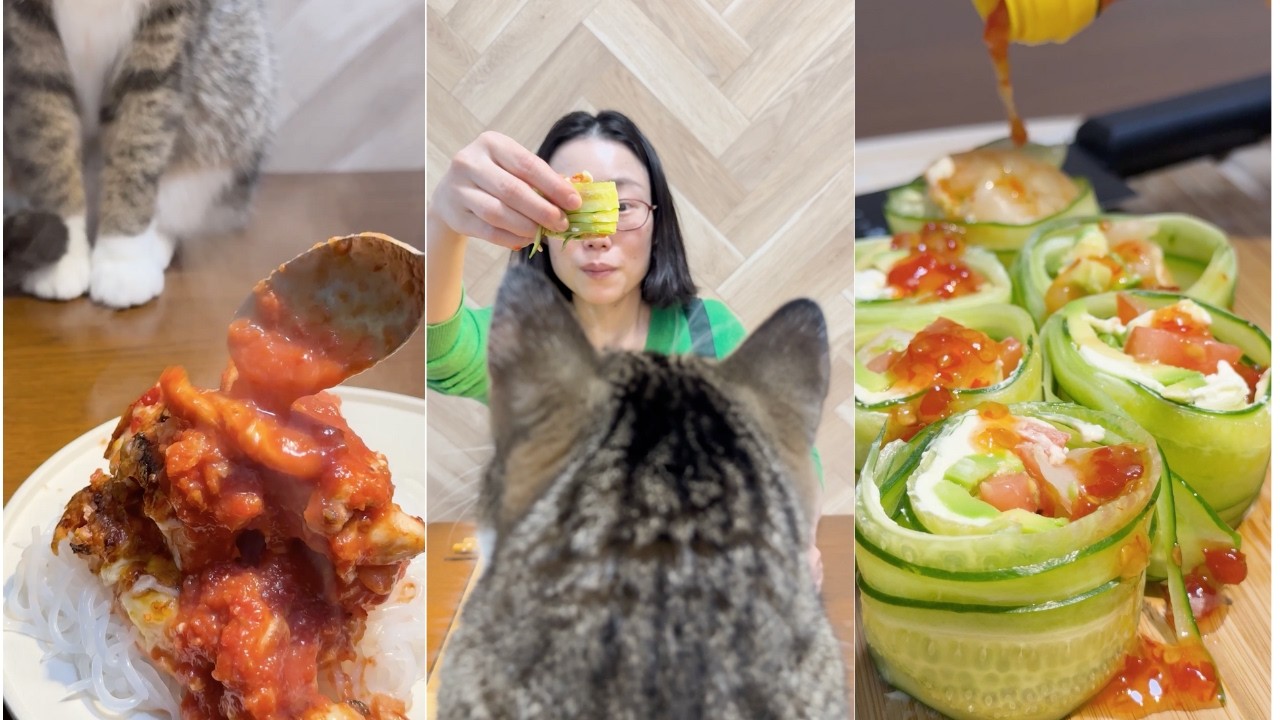 jo_macchou👓🐈🍳 cook Best Moments | ASMR Cooking