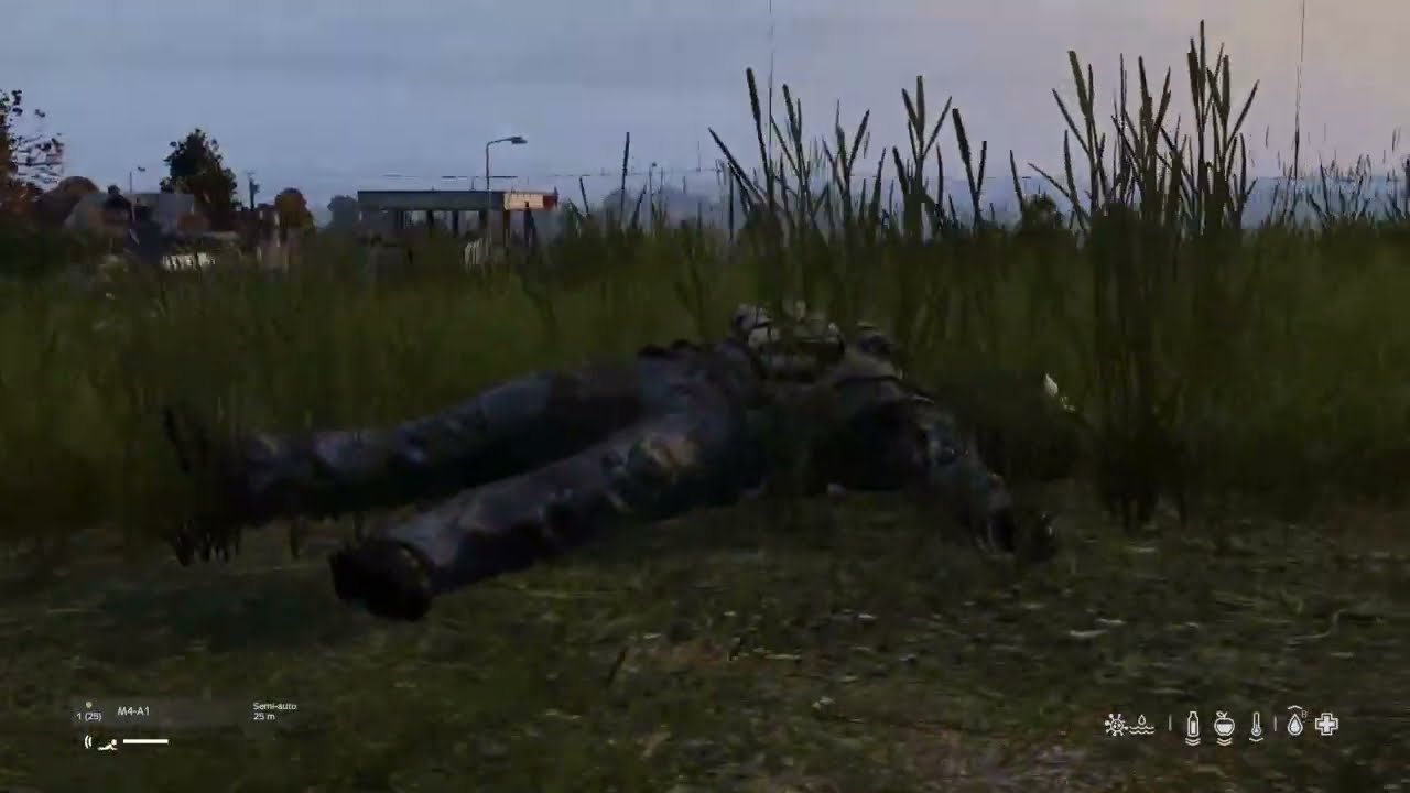 Dayz - L'avant Wipe