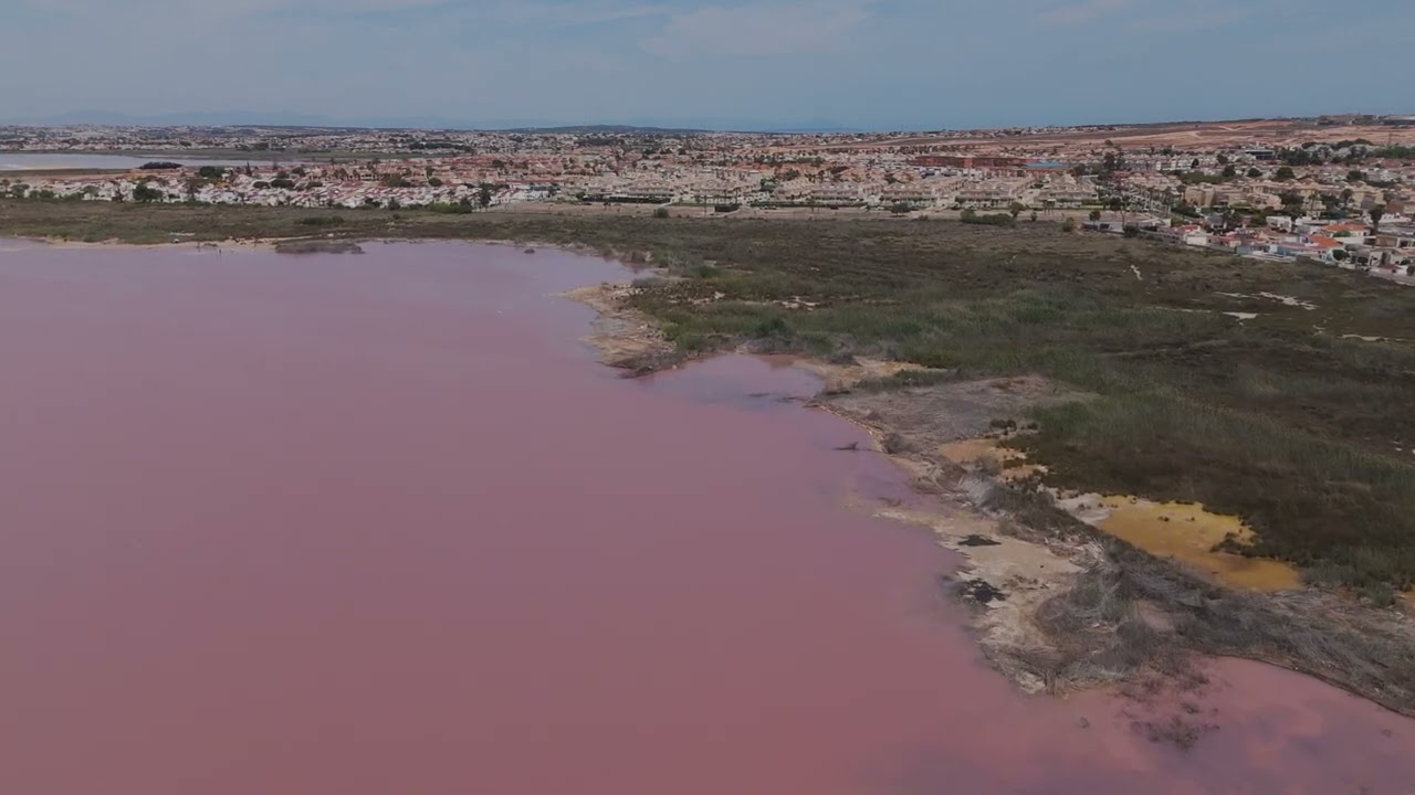 Salt lake Torrevieja May 2024