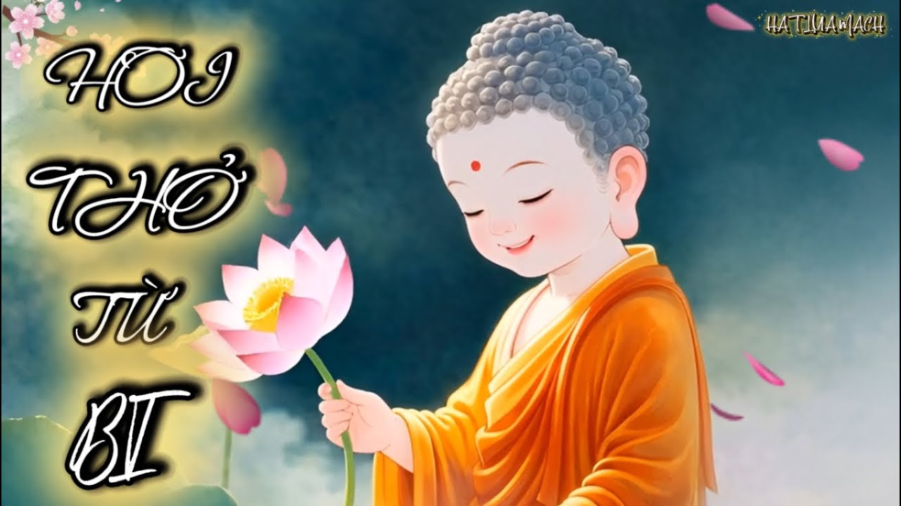HƠI THỞ TỪ BI - Dừng lại để yêu thương...