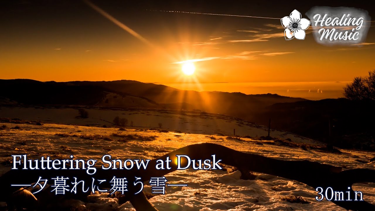 【作業・瞑想・睡眠】Fluttering Snow at Dusk_夕暮れに舞う雪 30min _Healing BGM for Sleep, Relaxation & Focus
