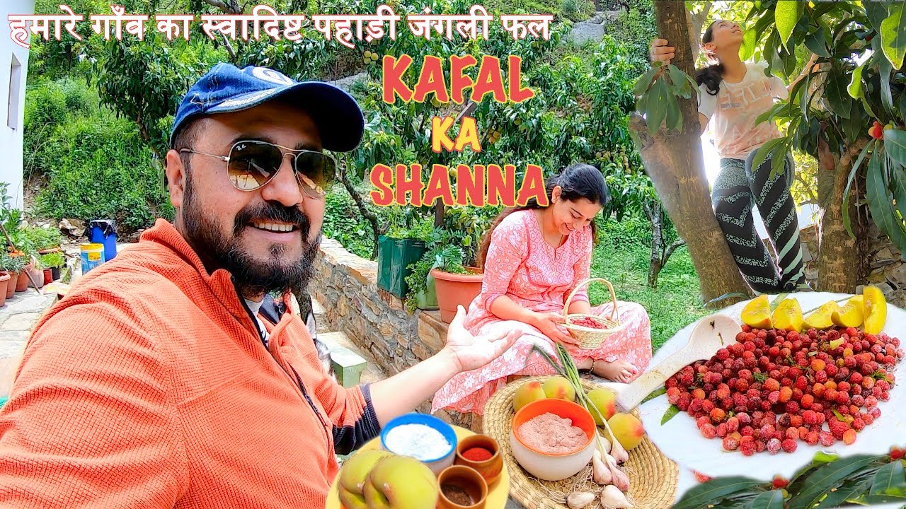 Delicious Wild Fruit KAFAL Recipe In Local PAHADI Village Style, KAFAL KA SHANNA Of Uttarakhand