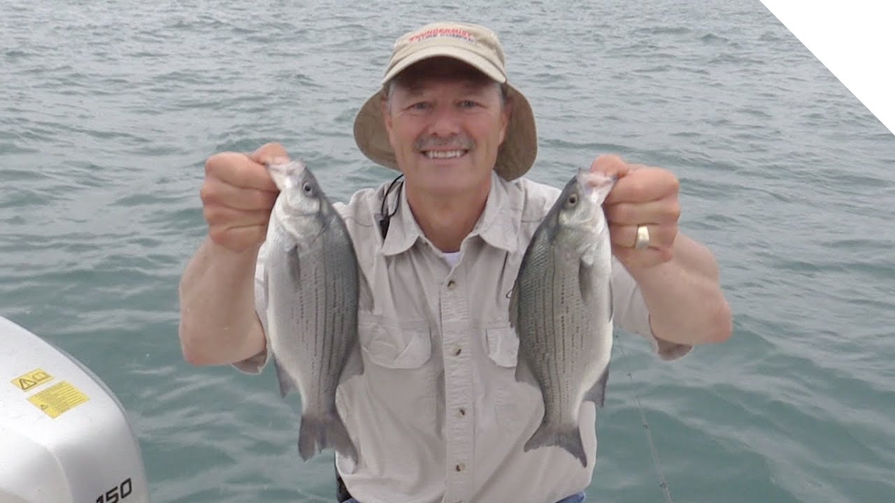 New Crank Baits! The Realistic Misty Minnow and Cranking for Silver Bass