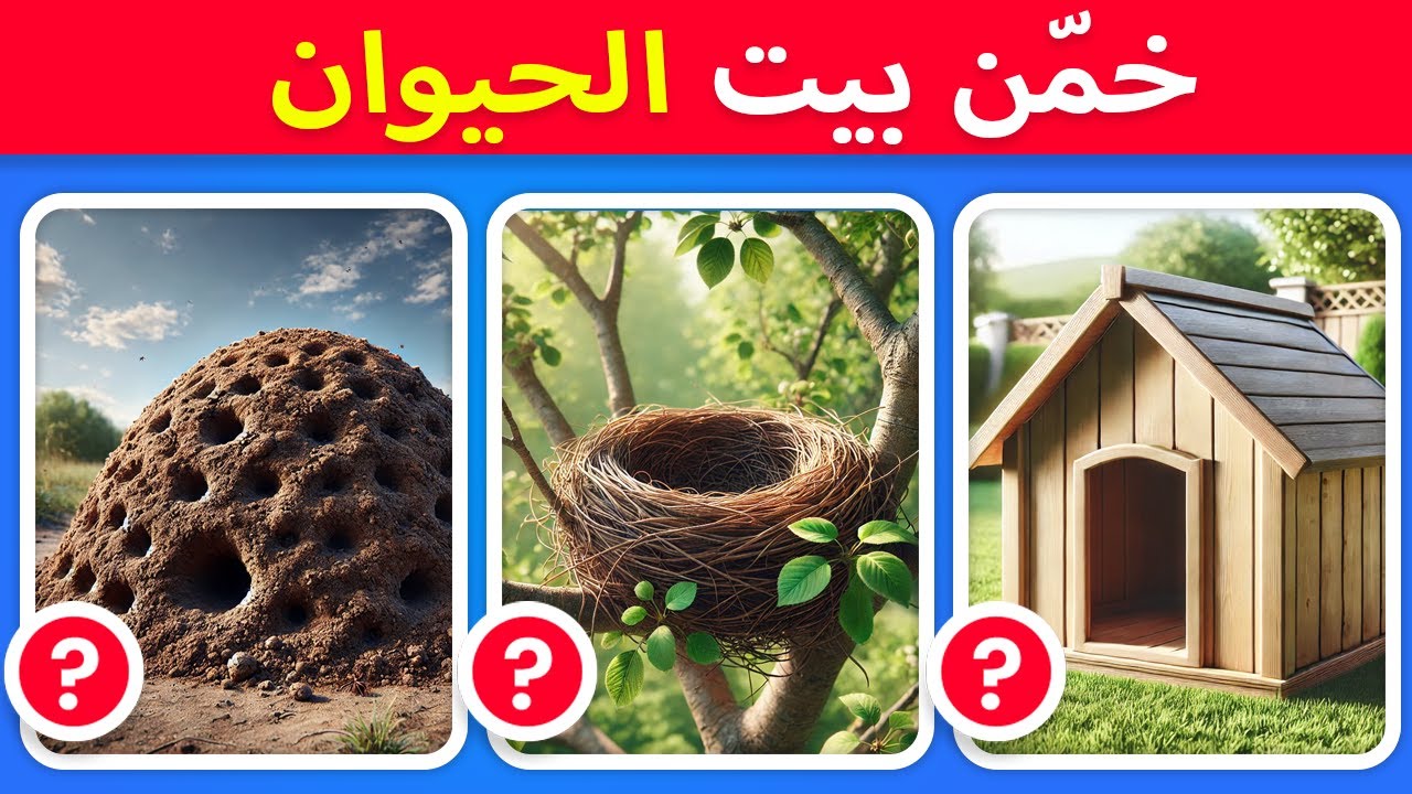 تحدي بيوت الحيوانات 🔥 هل تعرف من يعيش هنا؟ 🐾🏠