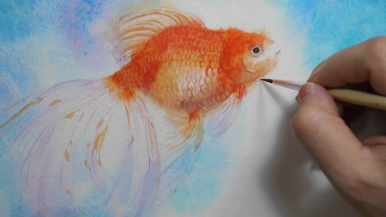 How to paint watercolor Goldfish