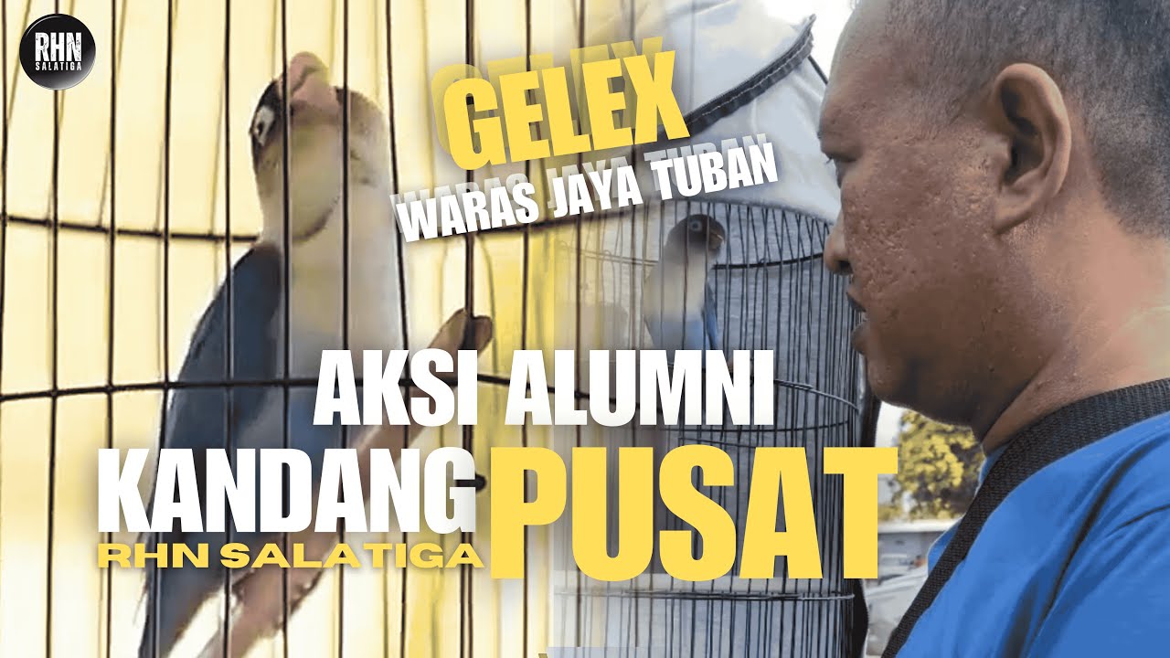 AKSI ALUMNI KANDANG PUSAT RHN SALATIGA.LOVEBIRD GELEX WARAS JAYA TUBAN.