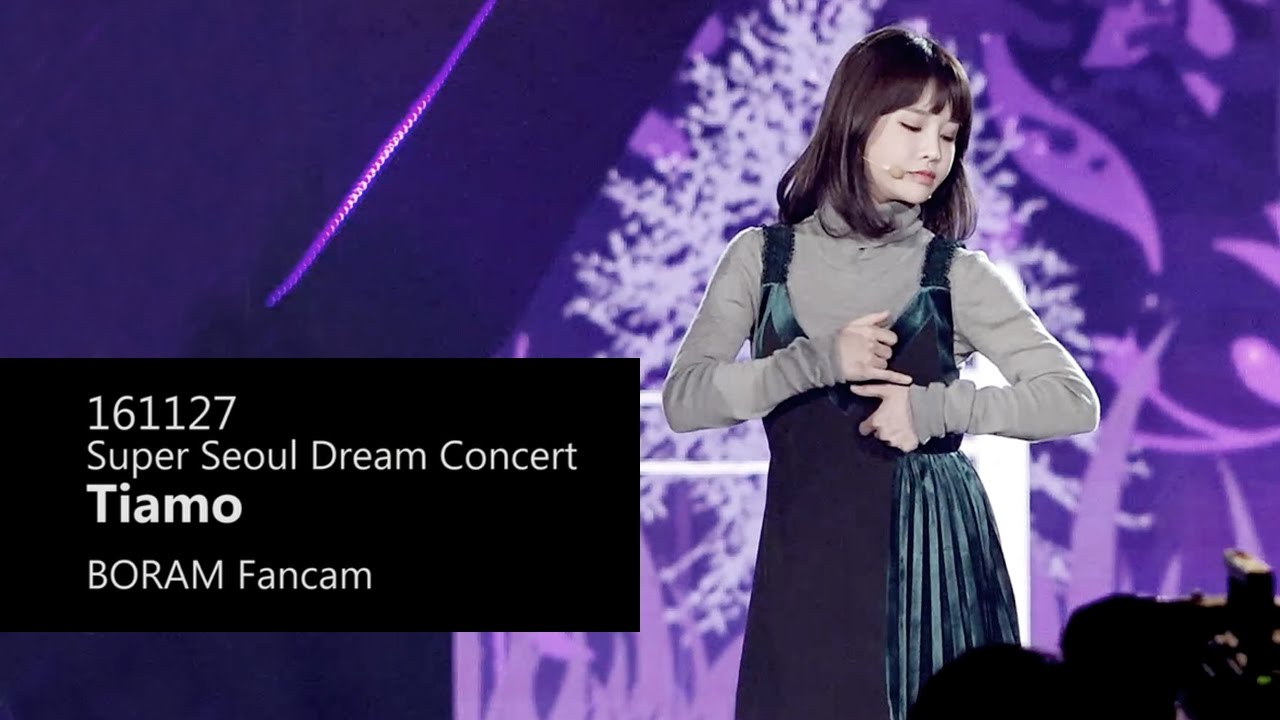 161127 Super Seoul Dream Concert  - Tiamo(BORAM fancam)
