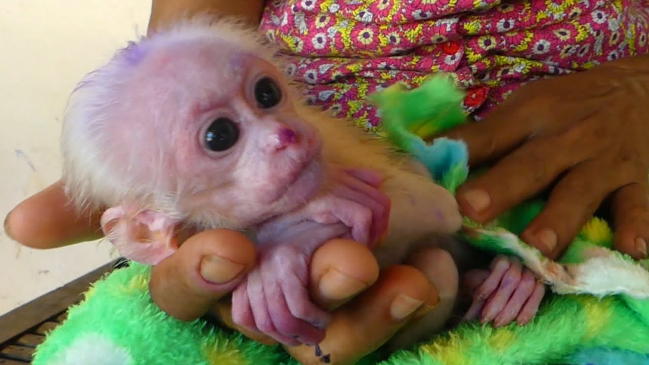 I'm wiping myself clean for the little monkey because it's very cold.
