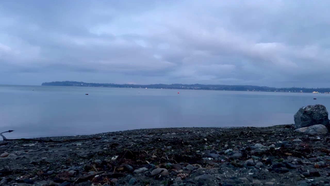 Sunrise at Birch Bay | PNW nature ASMR | camera remains still