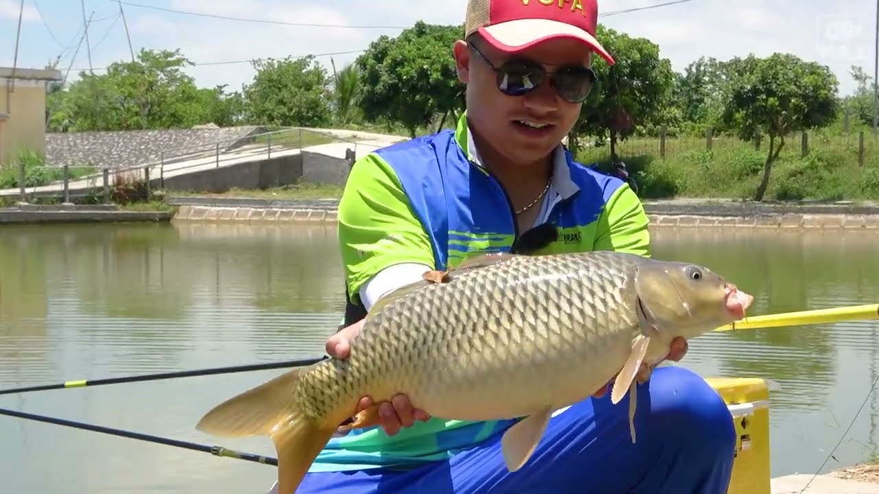 Hương Liệu C&acirc;u C&aacute; Ch&eacute;p - Vua C&acirc;u FishingKing Hiệu Quả
