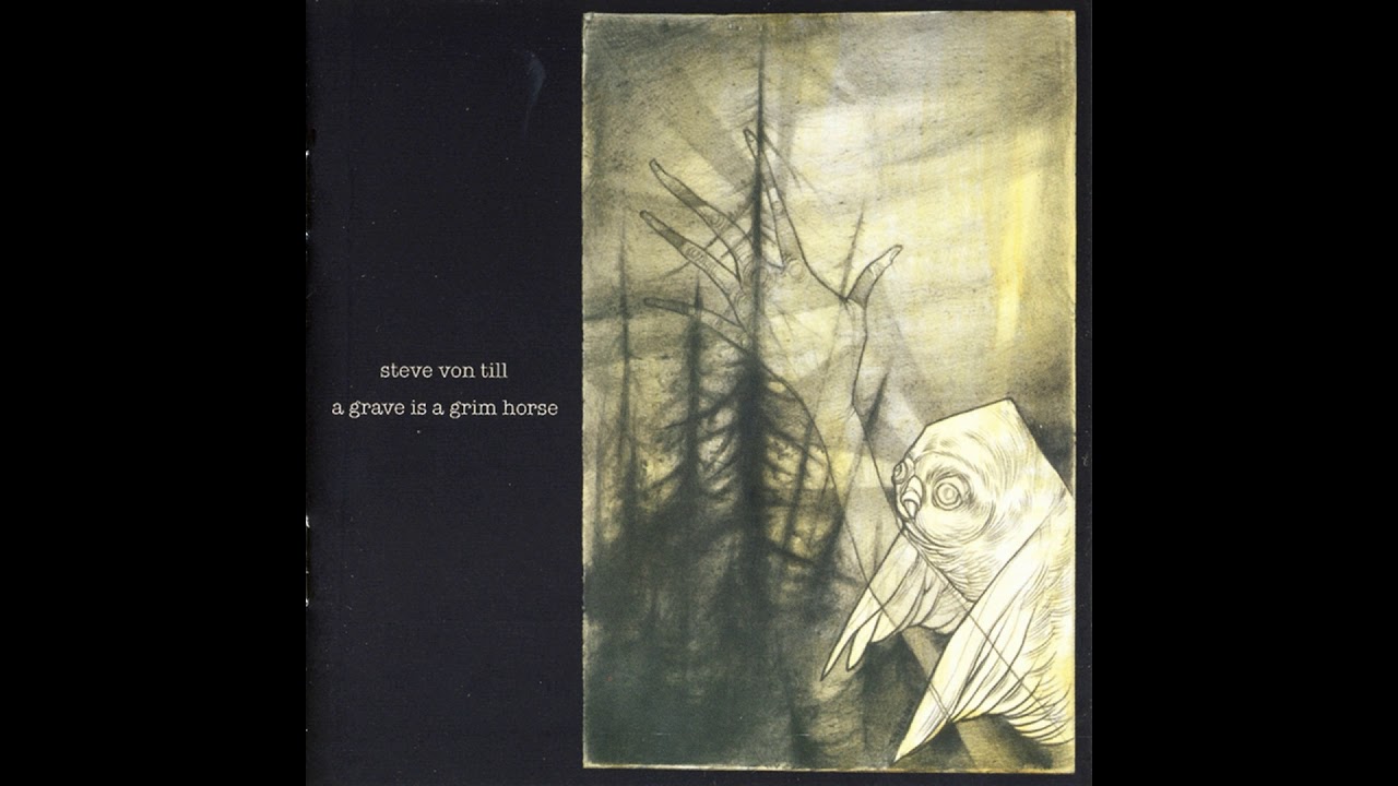 Steve Von Till - Looking for Dry Land