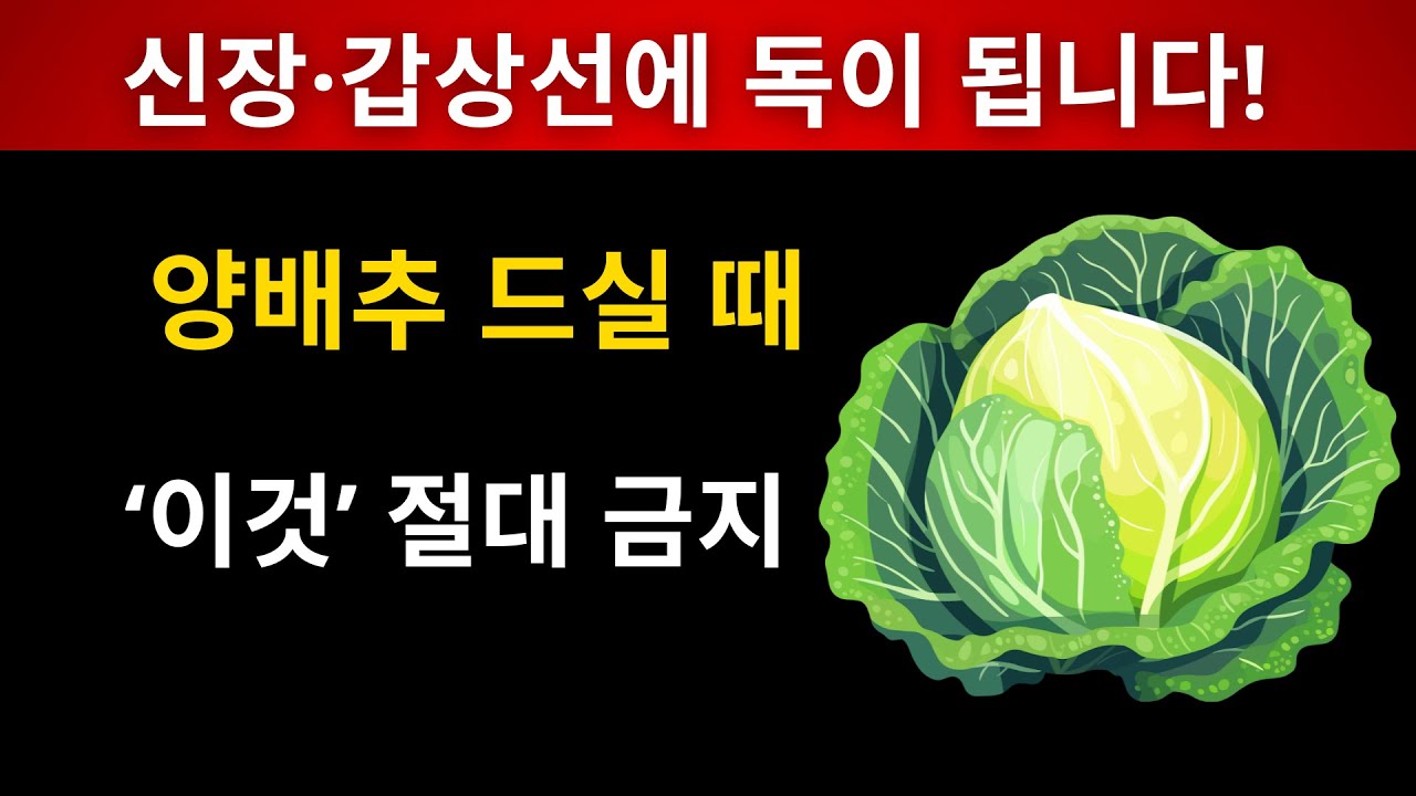 양배추, 이 음식들과 함께 먹으면 신장·갑상선에 독이 됩니다 | 상극 조합 TOP 3 | 60대 필수 시청