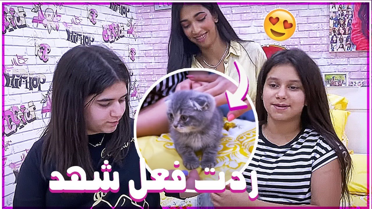 ردت فعل شهد عالقط وردت فعلنا على اغرب تعليقات