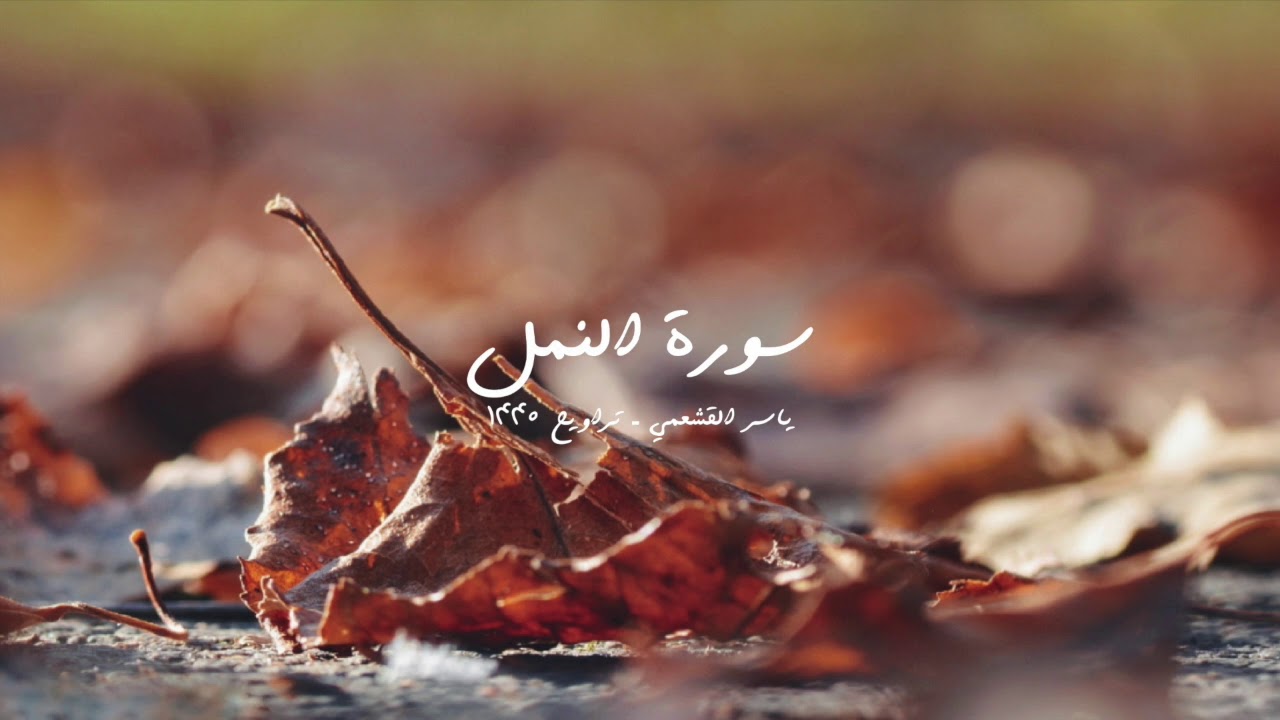 ياسر القشعمي - سورة النمل - (جامع السريع ١٤٤٠هـ)