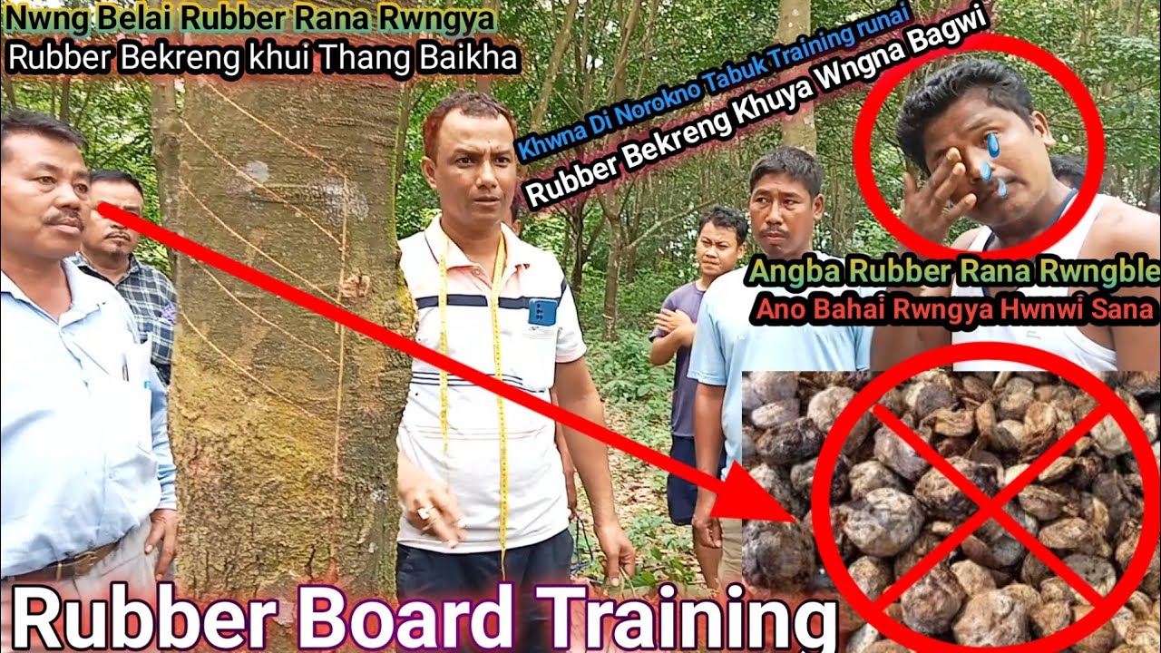 Tiprasarok Rubber Kaham Khe Rana Rwngya Bahai Khe Ranai Rubber no Rubber Board Bororok Trainingrwkha