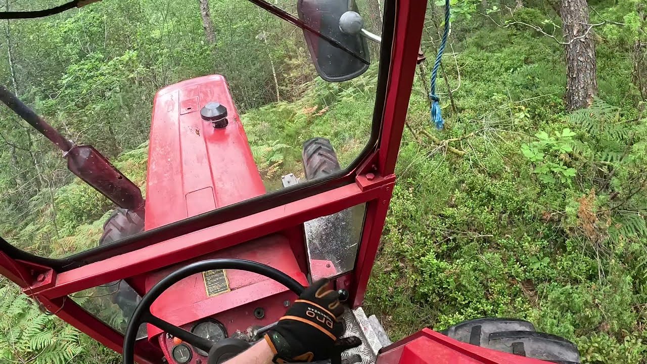 Old School logging in Norway